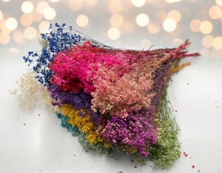 ورد مجفف بيبي برث